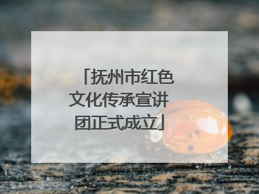抚州市红色文化传承宣讲团正式成立