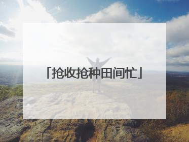 抢收抢种田间忙