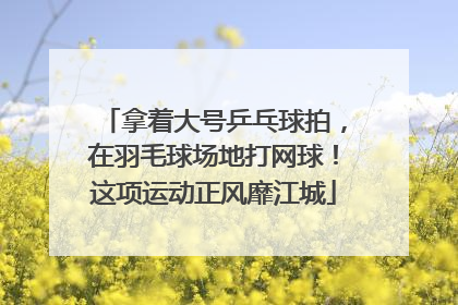 拿着大号乒乓球拍，在羽毛球场地打网球！这项运动正风靡江城