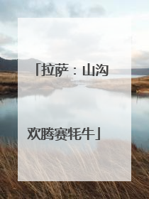 拉萨：山沟欢腾赛牦牛