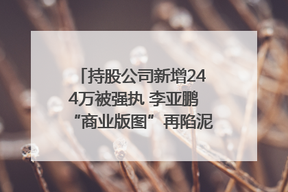 持股公司新增244万被强执 李亚鹏“商业版图”再陷泥潭？｜科技观察