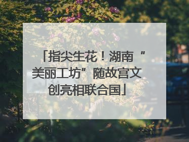 指尖生花！湖南“美丽工坊”随故宫文创亮相联合国