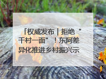 权威发布｜拒绝“千村一面”！东阿差异化推进乡村振兴示范片区建设