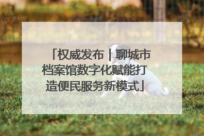 权威发布|聊城市档案馆数字化赋能打造便民服务新模式
