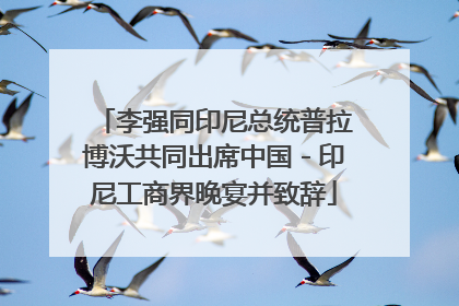 李强同印尼总统普拉博沃共同出席中国－印尼工商界晚宴并致辞