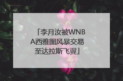 李月汝被WNBA西雅图风暴交易至达拉斯飞翼