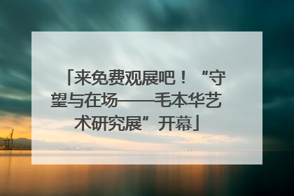 来免费观展吧！“守望与在场——毛本华艺术研究展”开幕