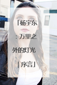 杨宇东：万里之外的灯光｜序言
