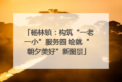 杨林镇：构筑“一老一小”服务圈 绘就“朝夕美好”新图景