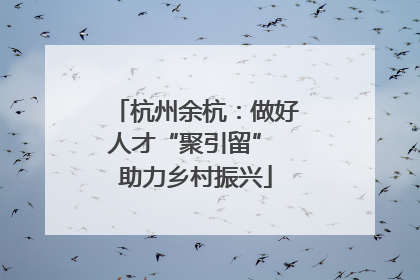 杭州余杭：做好人才“聚引留” 助力乡村振兴