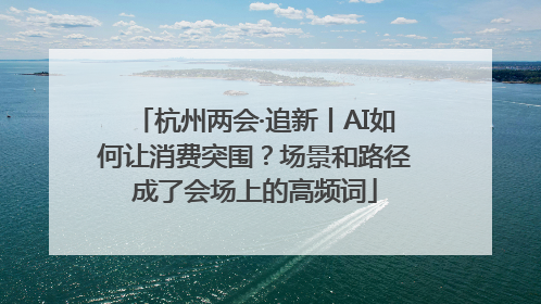 杭州两会·追新丨AI如何让消费突围？场景和路径成了会场上的高频词