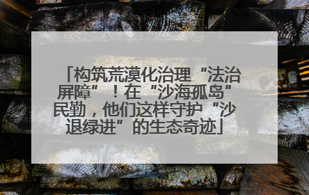 构筑荒漠化治理“法治屏障”！在“沙海孤岛”民勤，他们这样守护“沙退绿进”的生态奇迹