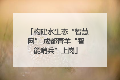 构建水生态“智慧网” 成都青羊“智能哨兵”上岗