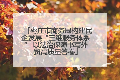 枣庄市商务局构建民企发展“三维服务体系” 以法治保障书写外贸高质量答卷