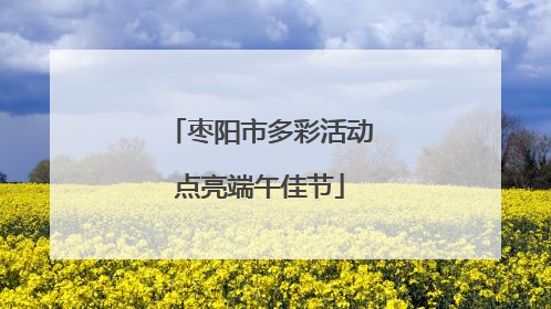 枣阳市多彩活动点亮端午佳节