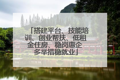 搭建平台、技能培训、创业帮扶、低租金住房、稳岗惠企 多举措稳就业
