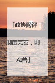 政协网评｜制度完善，则AI善