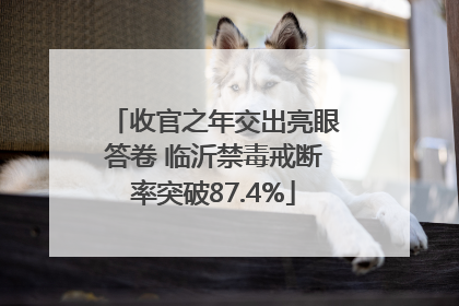 收官之年交出亮眼答卷 临沂禁毒戒断率突破87.4%