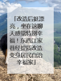 改造后挺漂亮，坐在这聊天感觉特别幸福！东西江家巷经提质改造变身居民自治幸福家