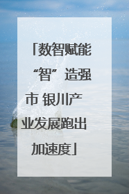 数智赋能“智”造强市 银川产业发展跑出加速度