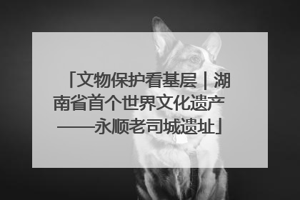 文物保护看基层｜湖南省首个世界文化遗产——永顺老司城遗址