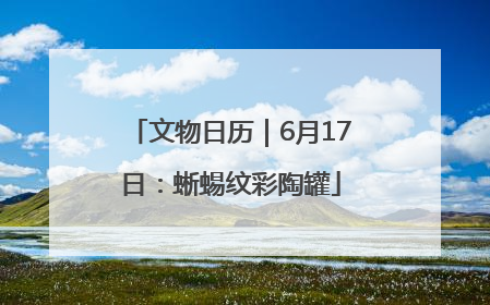 文物日历｜6月17日：蜥蜴纹彩陶罐