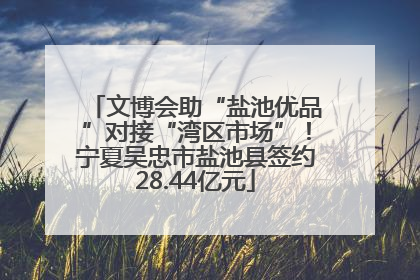 文博会助“盐池优品”对接“湾区市场”！宁夏吴忠市盐池县签约28.44亿元
