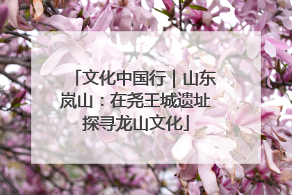 文化中国行｜山东岚山：在尧王城遗址探寻龙山文化