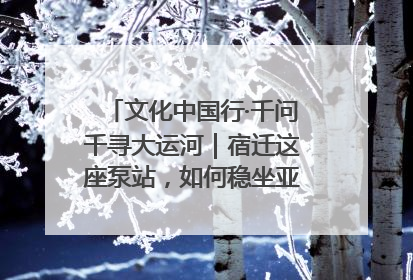 文化中国行·千问千寻大运河｜宿迁这座泵站，如何稳坐亚洲第一宝座？