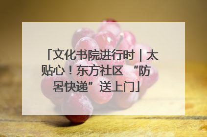 文化书院进行时｜太贴心！东方社区 “防暑快递”送上门