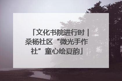 文化书院进行时｜桑杨社区“微光手作社”童心绘夏韵