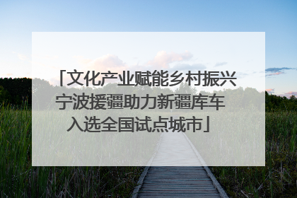 文化产业赋能乡村振兴 宁波援疆助力新疆库车入选全国试点城市