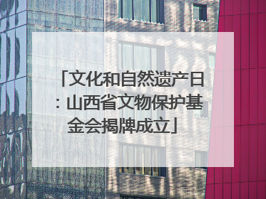 文化和自然遗产日：山西省文物保护基金会揭牌成立