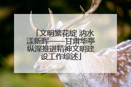 文明繁花绽 汭水漾新晖——甘肃华亭纵深推进精神文明建设工作综述