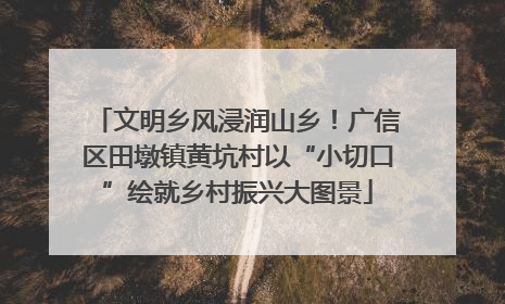 文明乡风浸润山乡！广信区田墩镇黄坑村以“小切口”绘就乡村振兴大图景