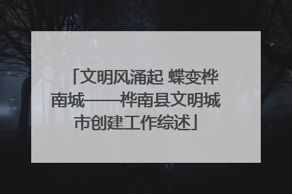 文明风涌起 蝶变桦南城——桦南县文明城市创建工作综述