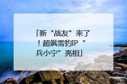 新“战友”来了！超飒雪豹IP“兵小宁”亮相
