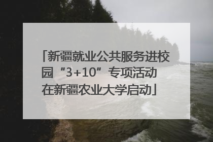 新疆就业公共服务进校园“3+10”专项活动在新疆农业大学启动