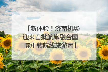 新体验！济南机场迎来首批航旅融合国际中转航线旅游团