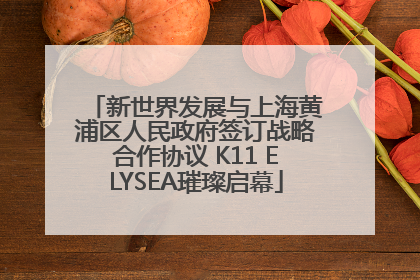 新世界发展与上海黄浦区人民政府签订战略合作协议 K11 ELYSEA璀璨启幕