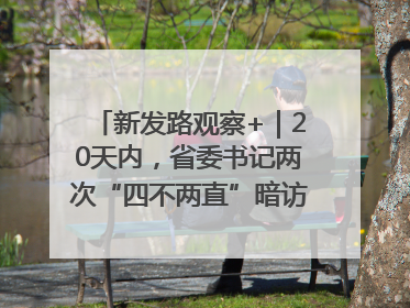 新发路观察+｜20天内，省委书记两次“四不两直”暗访，有何深意？