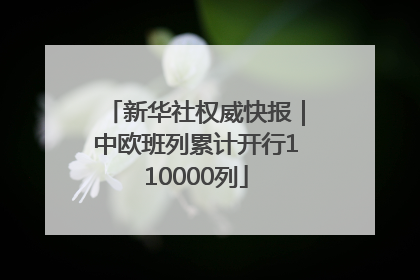 新华社权威快报｜中欧班列累计开行110000列