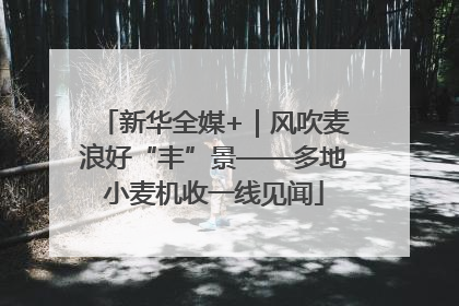 新华全媒+｜风吹麦浪好“丰”景——多地小麦机收一线见闻