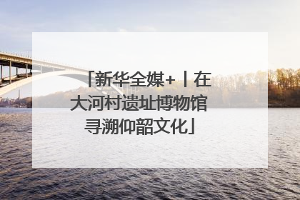 新华全媒+丨在大河村遗址博物馆寻溯仰韶文化