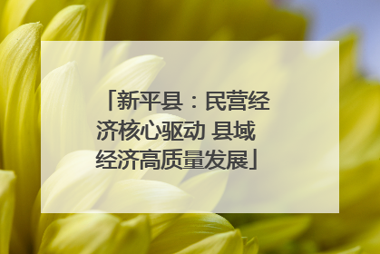新平县：民营经济核心驱动 县域经济高质量发展