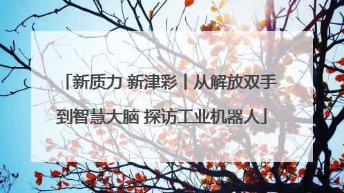 新质力 新津彩丨从解放双手到智慧大脑 探访工业机器人
