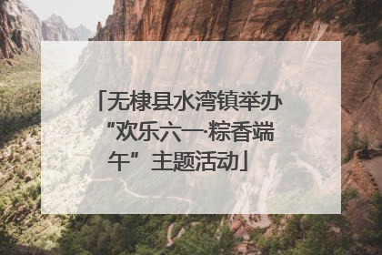 无棣县水湾镇举办“欢乐六一·粽香端午”主题活动