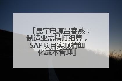 昆宇电源吕春燕：制造业需精打细算，SAP项目实现精细化成本管理