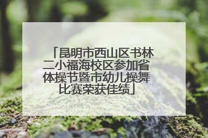 昆明市西山区书林二小福海校区参加省体操节暨市幼儿操舞比赛荣获佳绩