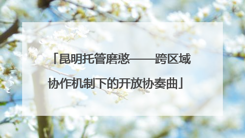 昆明托管磨憨——跨区域协作机制下的开放协奏曲